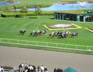 races IMG_0911a