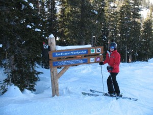 Sun Valley Most Dangerous Run (click to enlarge)