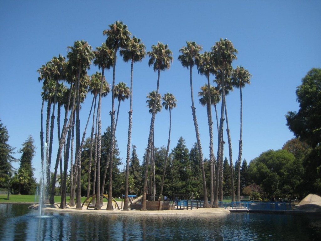 Picnic Palms