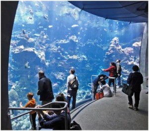 Aquarium