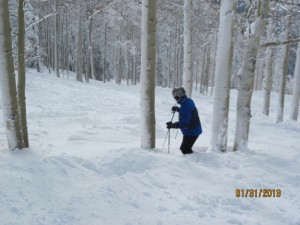 Steamboat - Skiing Knee deep