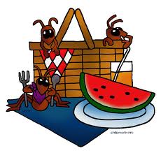 Picnic Basket